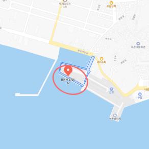 고흥 갑오징어 50수 포인트 공개